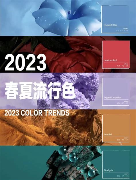 2023年顏色|2023年流行色彩：淡黃色、海藍色、薰衣草紫，帶來。